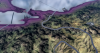THE PURPLE PHOENIX.png